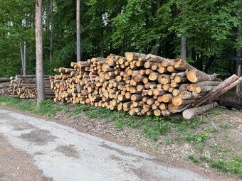 Měkké Palivové dřevo suché