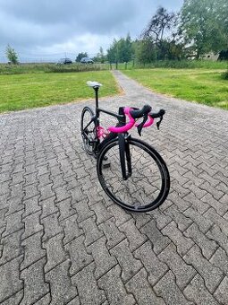 Orbea