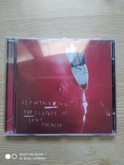 The Ecstasy of Saint Theresa. -Slow thinking