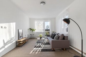 Byt 3 + 1 s garáží a sklepem Hrejkovice