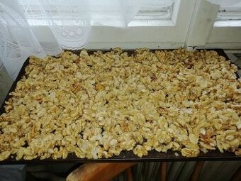 Vlašské ořechy z Kokořínska, 6kg