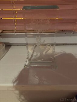 Pokemon trophy z nationals 2005-2006 - 1