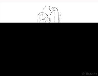 Světelná LED vrba 1,5m