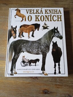 Velká kniha o koních