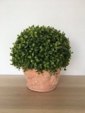 Umělá květina-buxus