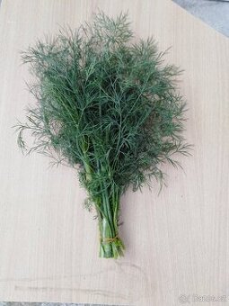 Kopr