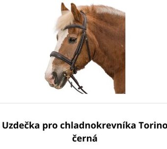 Uzdečka Torino Xxl