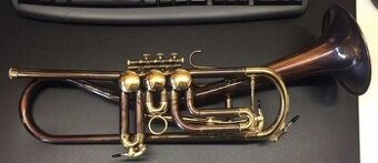 Schagerl Gansch Horn Heavy Vintage Lacquer - 1