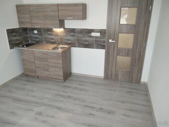 Pronájem byt 1+kk, 21m2, OSTROV