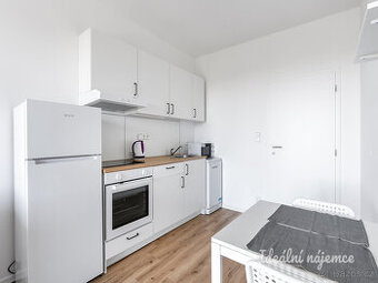 Pronájem bytu 1+kk, Za Černým mostem, Kyje, 15700 Kč/měs, 24