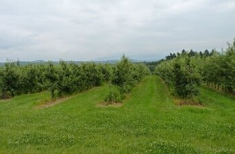 pozemek nebo orná půda ve Vracově