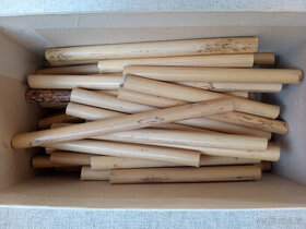 Hobojová třtina Rigotti (France)