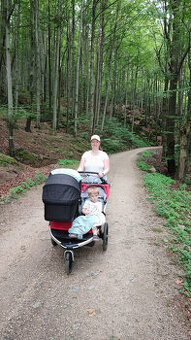 Thule urban glide double