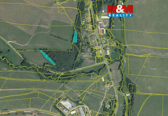 Prodej lesa, 3800 m², Břidličná - Vajglov