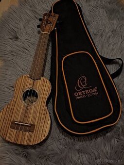 Ukulele a obal
