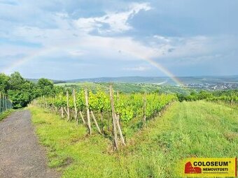 Němčičky - vinice, sady, les, orná půda 34 673 m2 – pozemek - 1