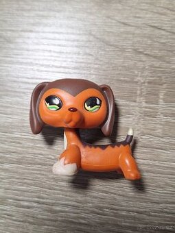 Lps jezevčík - 1