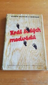 Král šedých medvědů