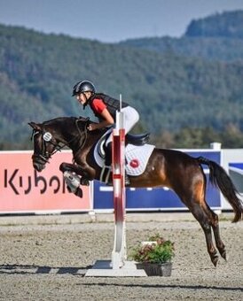 Sportovní pony