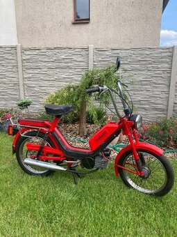 BABETTA 210