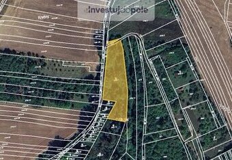 Prodej specifického pozemku 2 854 m², Svatobořice-Mistřín - 