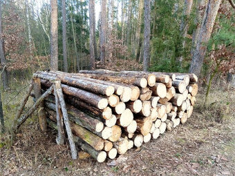 Palivové dřevo metrové