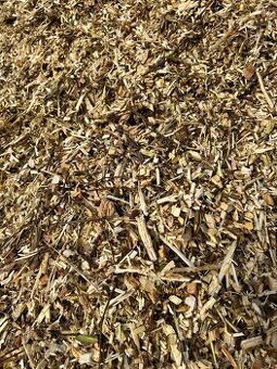 Drevni stepka - mulcovaci kura