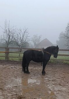 Černý vraník chladnokrevný chladnokrevného typu