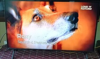 Velmi pěkná, téměř nová Tv Lg 43"QNED 80T6A, 4K UHD