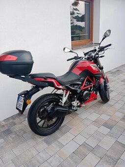 Benelli BN 251 - 1