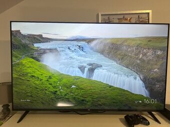 Televize TCL 50"