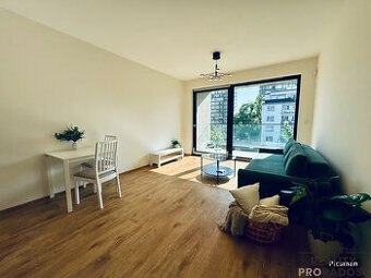 Pronájem bytu 1+kk 33 m² Tetauerova, Praha - Žižkov