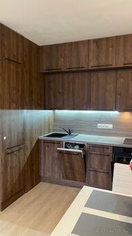 K pronájmu 2+kk 42,6 m² s balkonem
