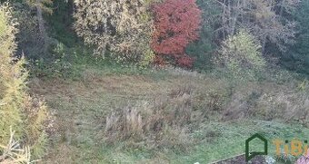 Prodej, Pozemky pro bydlení, 1.753 m² - Gruna - Žipotín