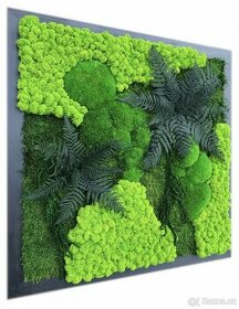 Mechový obraz 40 x 40 cm, stabilizovaný mech i rostliny