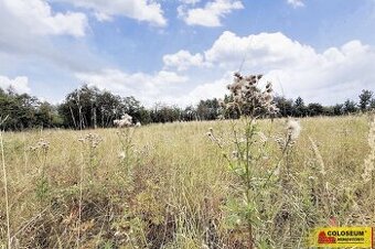 Sebranice - zahrada, příjezdová asfaltová komunikace, oploce