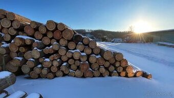 Pravá ruka majitele – administrativa & provoz (dřevařství)