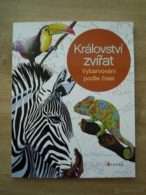omalovánky Království zvířat