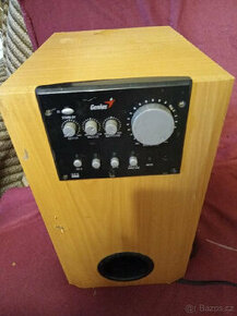 Velký stereo reproduktor se zesilovačem