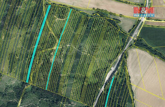 Prodej lesa, 28654 m², Nová Hradečná - 1