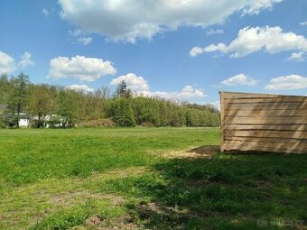 Sháním koně do pronájmu za ustájení zdarma