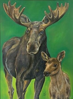 Obraz Ticho lesa, pastel