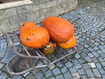Helloween dýně
