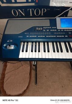 Korg pa 800