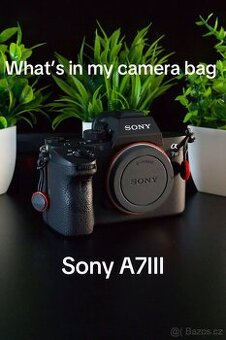 Sony a7iii + 24-70 2.8 GM Sony