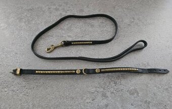 Obojek a vodítko pro stafordšírského bulteriéra