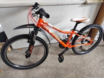 Horské kolo Superior Paint 24