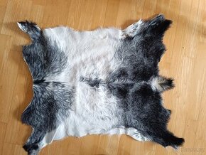 NOVÁ luxusní kozí kůže - kozinka ručně vyčiněná, 90x80