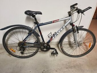 Pánské kolo Ravo Oregon