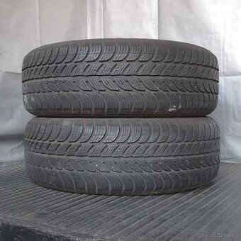 Zimní pneumatiky Sava 195/65 R15 č. AP279